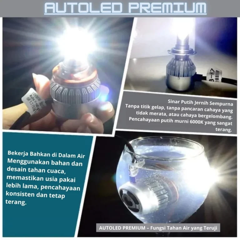 Premium Auto Led AutoLed Premium Car – FGD – Tyand Shop